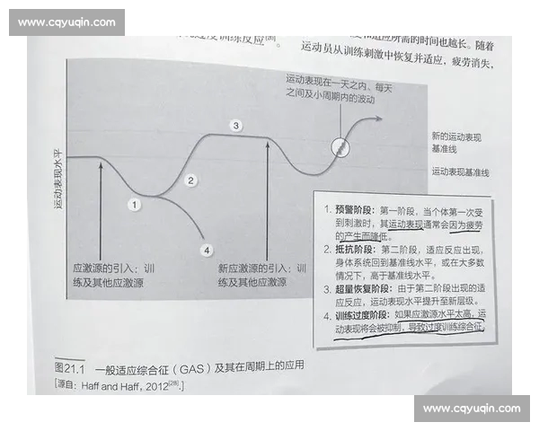体育大数据驱动下运动表现分析与科学训练创新研究 体育大数据驱动下运动表现分析与科学训练创新研究
